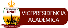 Vicepresidencia Académica